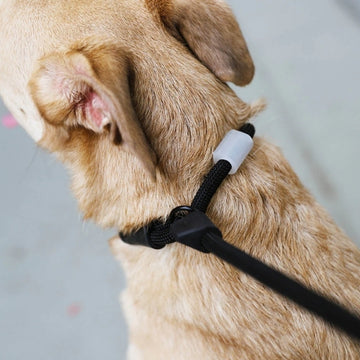 Zee.dog Slip Lead // Retriever leash with stop (black)