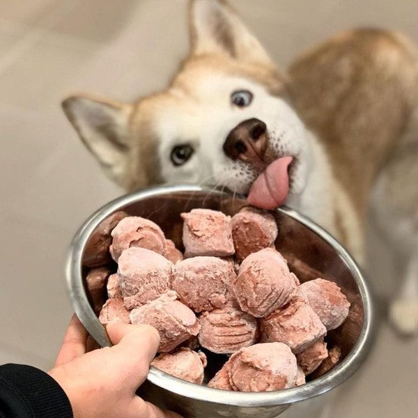 Min hund er kræsen