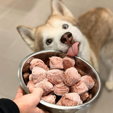 Min hund er kræsen