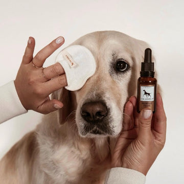 Lila Loves It - Plejeprodukter til hunde