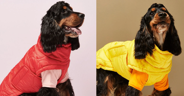 Størrelsesguide til The Painters Wife puffer vinterjakker