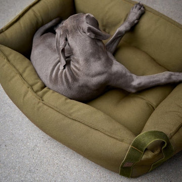 Hvilken hundeseng er den bedste?