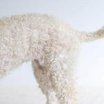 B&amp;B - hundefrisørens råd til din hunds pels