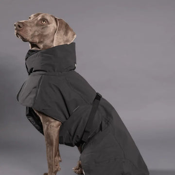 Hundetøj og hundekurve til store hunde