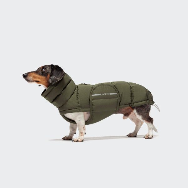 Har din hund brug for hundetøj?