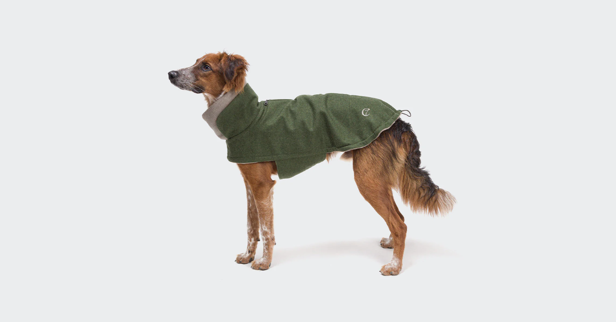 Størrelsesguide: Cloud7 jakker til hunde af standardproportioner