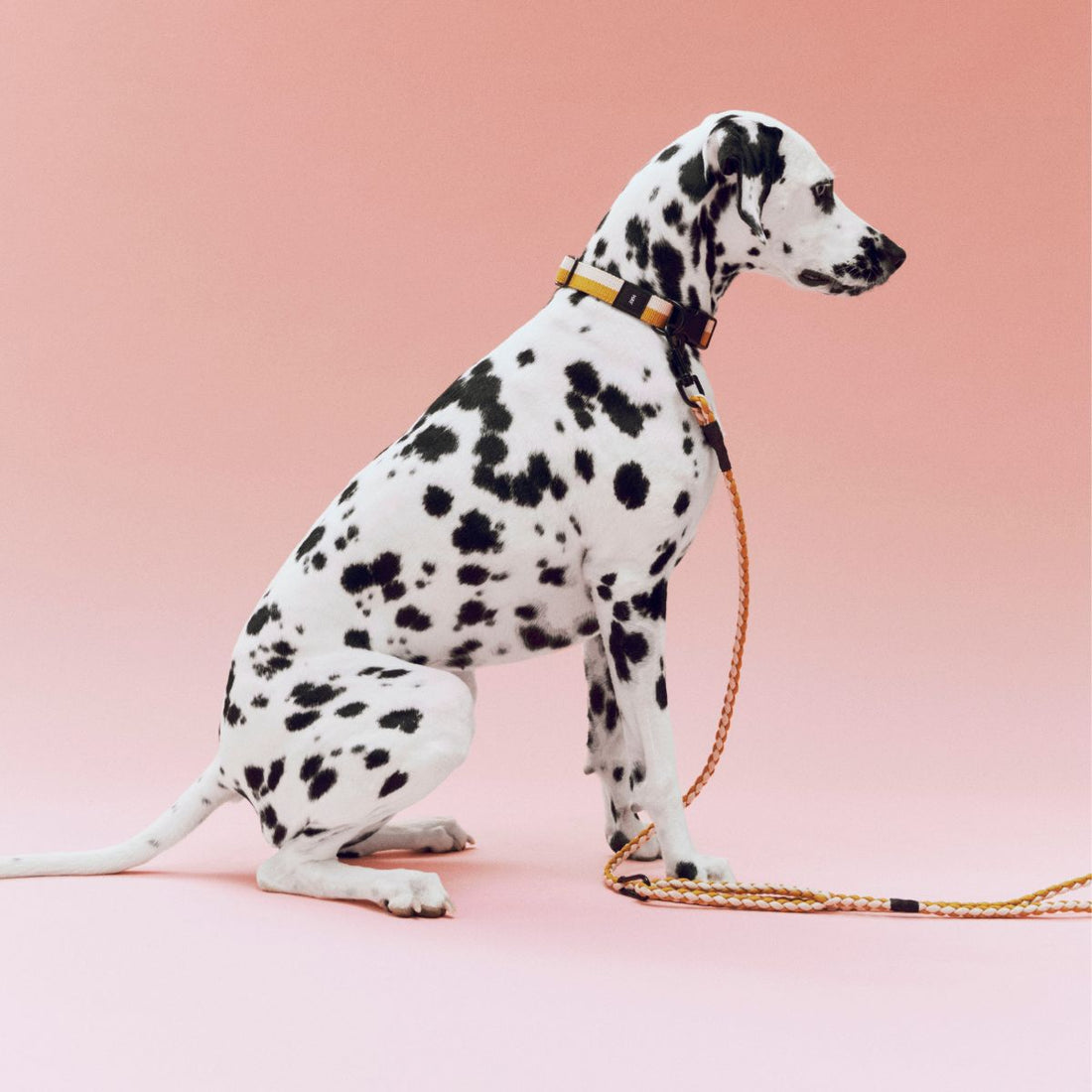 HAY Dogs Braided // Flettet hundeline i genanvendt nylon (gul/creme)