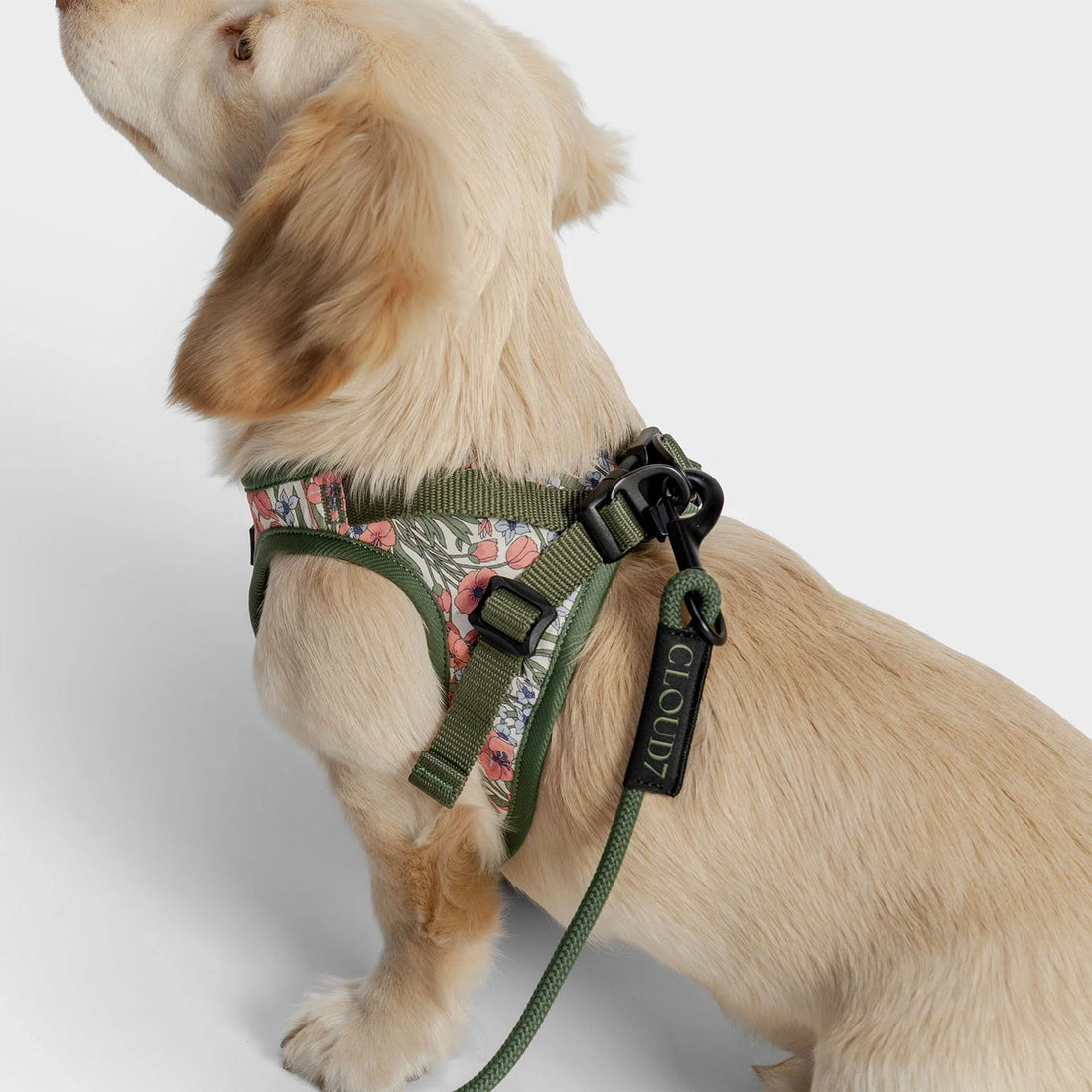 Cloud7 LTTL Rope Leash // Ultralet hundesnor til hvalpe og små hunde (olive)