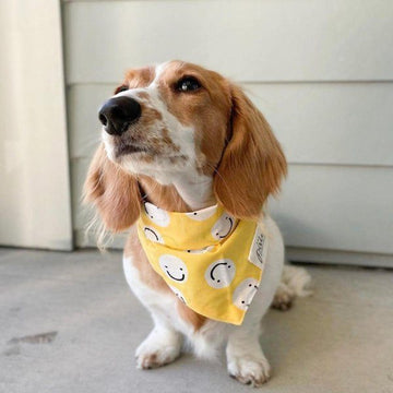 Friendship // Dog bandana with smileys