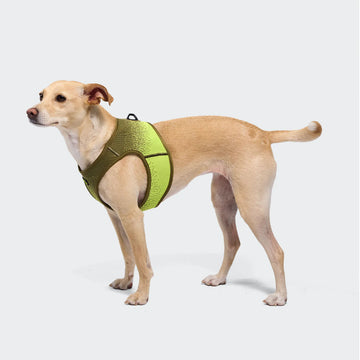 CLOUD7 V3 Vest Harness AKTIV Knit // Blød og ergonomisk hundesele (khaki/neon green)