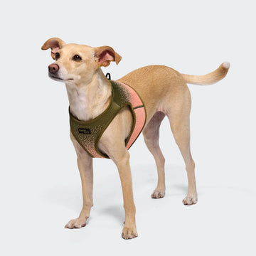 CLOUD7 V3 Vest Harness AKTIV Knit // Blød og ergonomisk hundesele (khaki/peach)