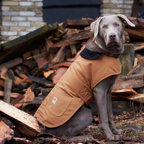 Carhartt Coat // Water-repellent dog coat (brown)