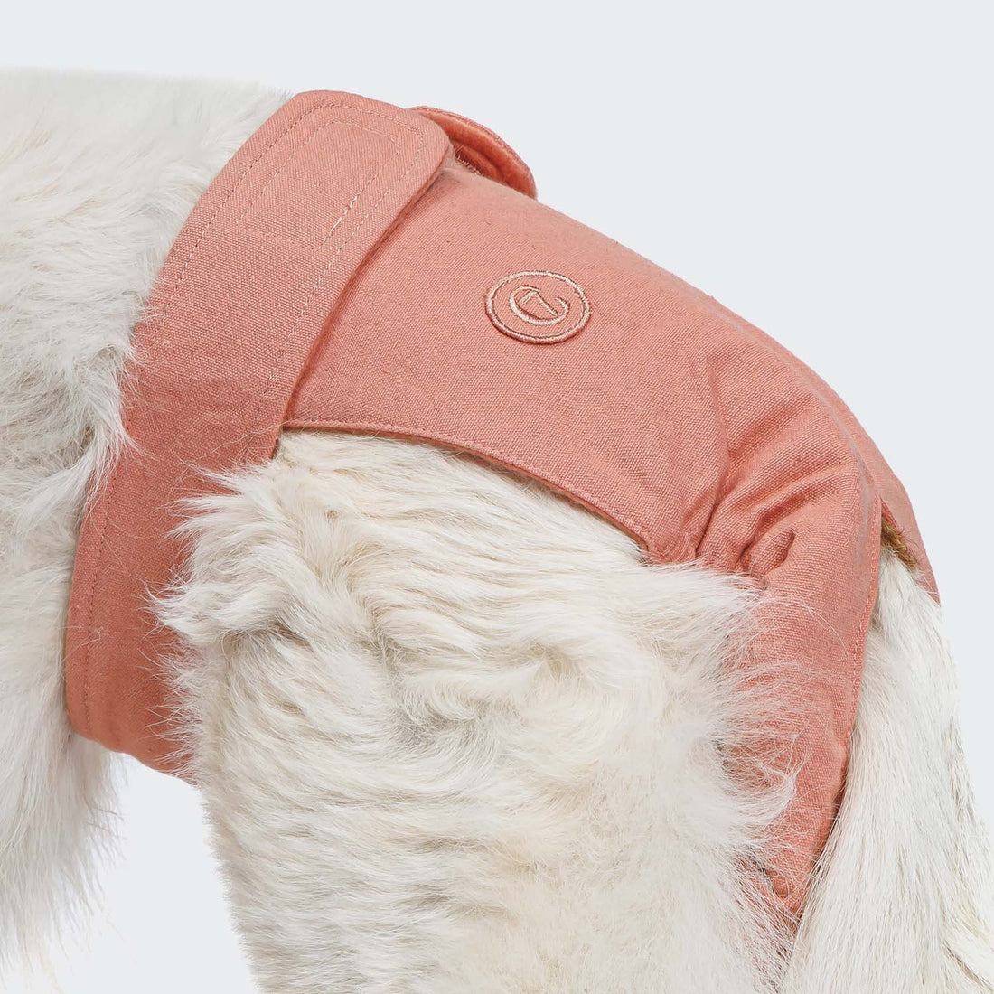 Cloud7 Dog Panties // Løbetidsbukser med god pasform (rose)
