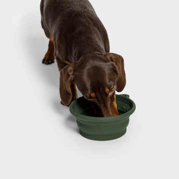 Cloud7 AKTIV Travel Bowl // Foldbar to-go hundeskål (dark olive)