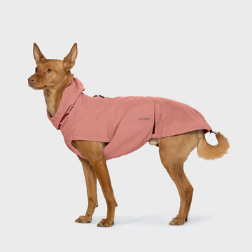 Cloud7 Dublin 2.0 // Water and windproof raincoat (faded rose)