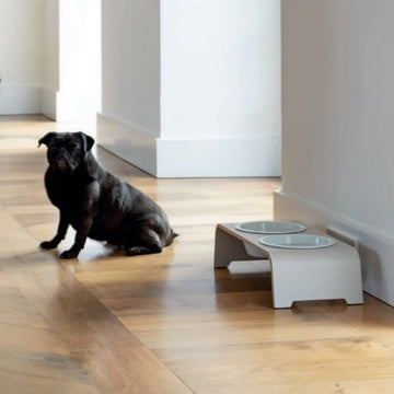 DogBar, Porcelain Bowls // Feeding station for water and food (gray)