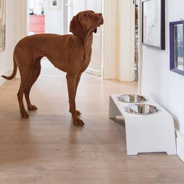 DogBar, Steel Bowls // Feeding station for water and food (white)