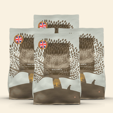 Essential Heritage, Balance // Single-protein skånefoder med kalkun (4 x 2,5kg)