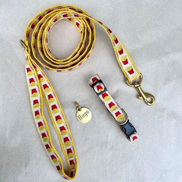 Puppy kit // Puppy collar, puppy leash and dog tag (fries)