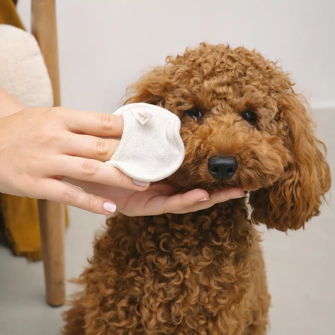 Lila Loves It Cleanies // Skånsomme og genanvendelige renserondeller