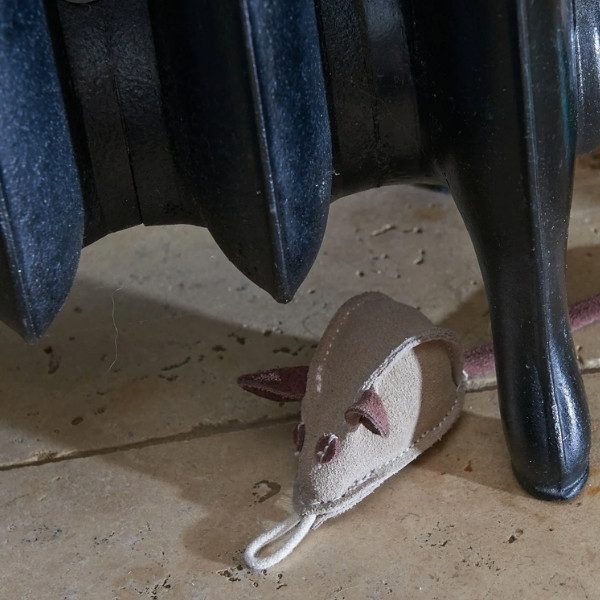 Mike the Mouse // Natural toys for small dogs