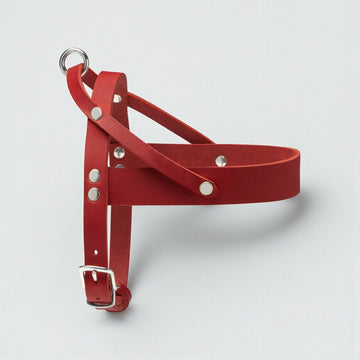Butter Red // Classic dog harness in soft leather (red)