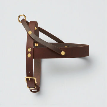 Butter Classic // Classic dog harness in soft leather (dark brown)