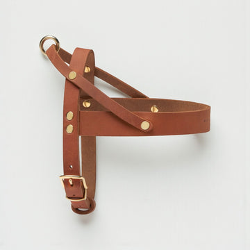 Butter Sahara // Classic dog harness in soft leather (cognac)