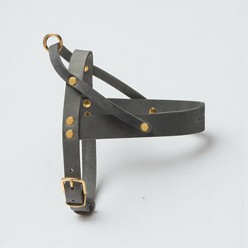 Butter Timeless // Classic dog harness in soft leather (gray)