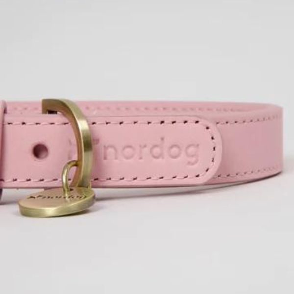 Nordog Candyfloss // Nubuck leather collar (pink)