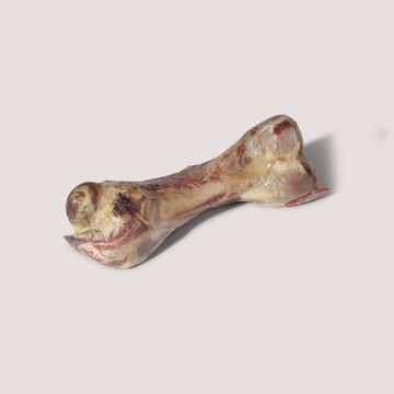 Everyday Chewing Bone // Naturligt og råt griseben (1 stk.)