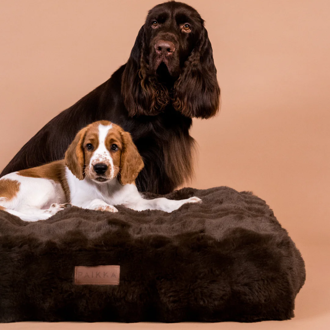 Paikka Lounge // Plys hundepude med memory foam (brun)