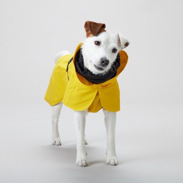 PAIKKA Rain // Functional and reflective rain coat for dogs (yellow)