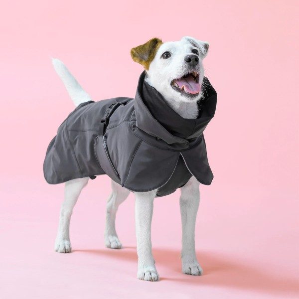 Paikka Winter // Functional and reflective dog winter coat (dark)