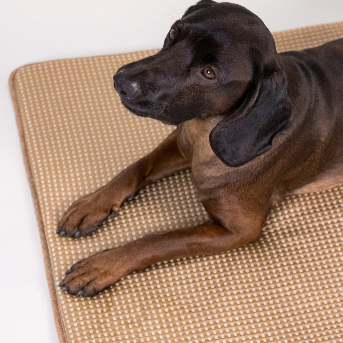 Paikka Cooling Blanket // Cooling blanket in self-cooling material (taupe)
