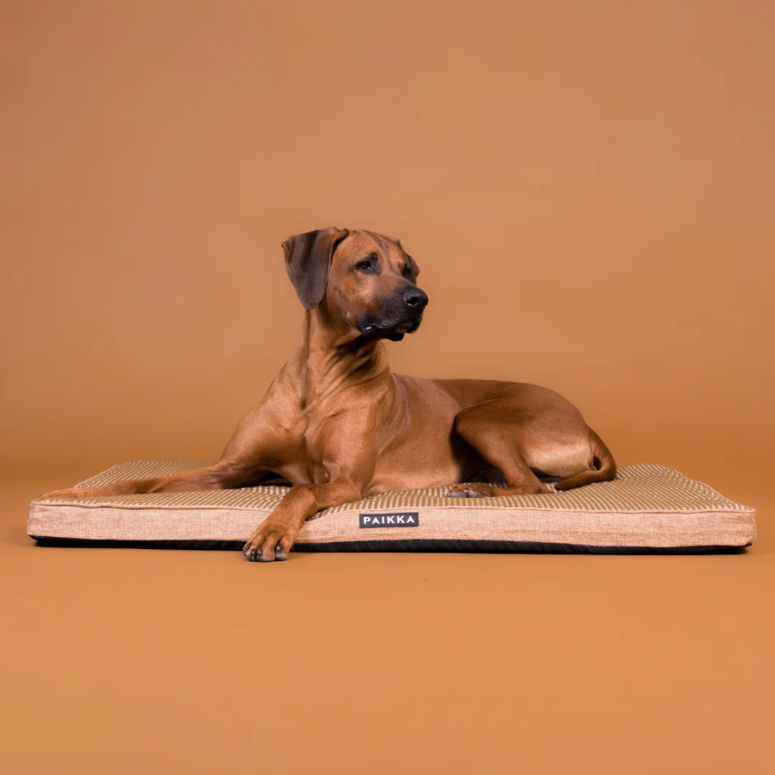 Paikka Cooling Mattress // Cooling dog cushion with memory foam (taupe)
