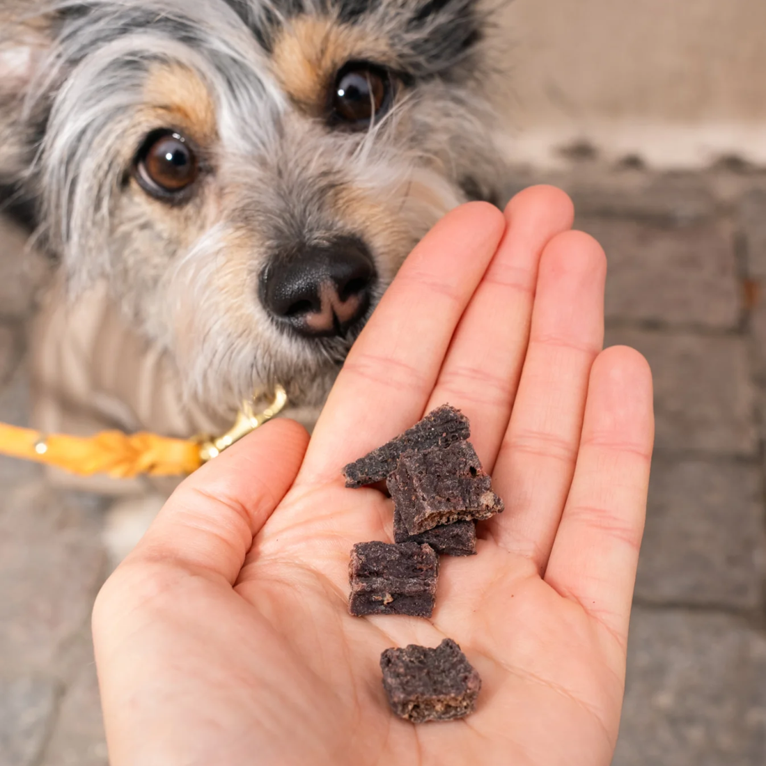 Pala Treat // Smagfuld og naturlig godbid af 100% oksehjerte