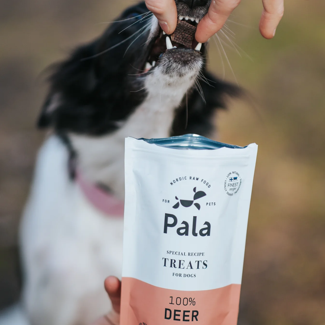 Pala Treat, Deer // Smagfuld og naturlig godbid af 100% hjort