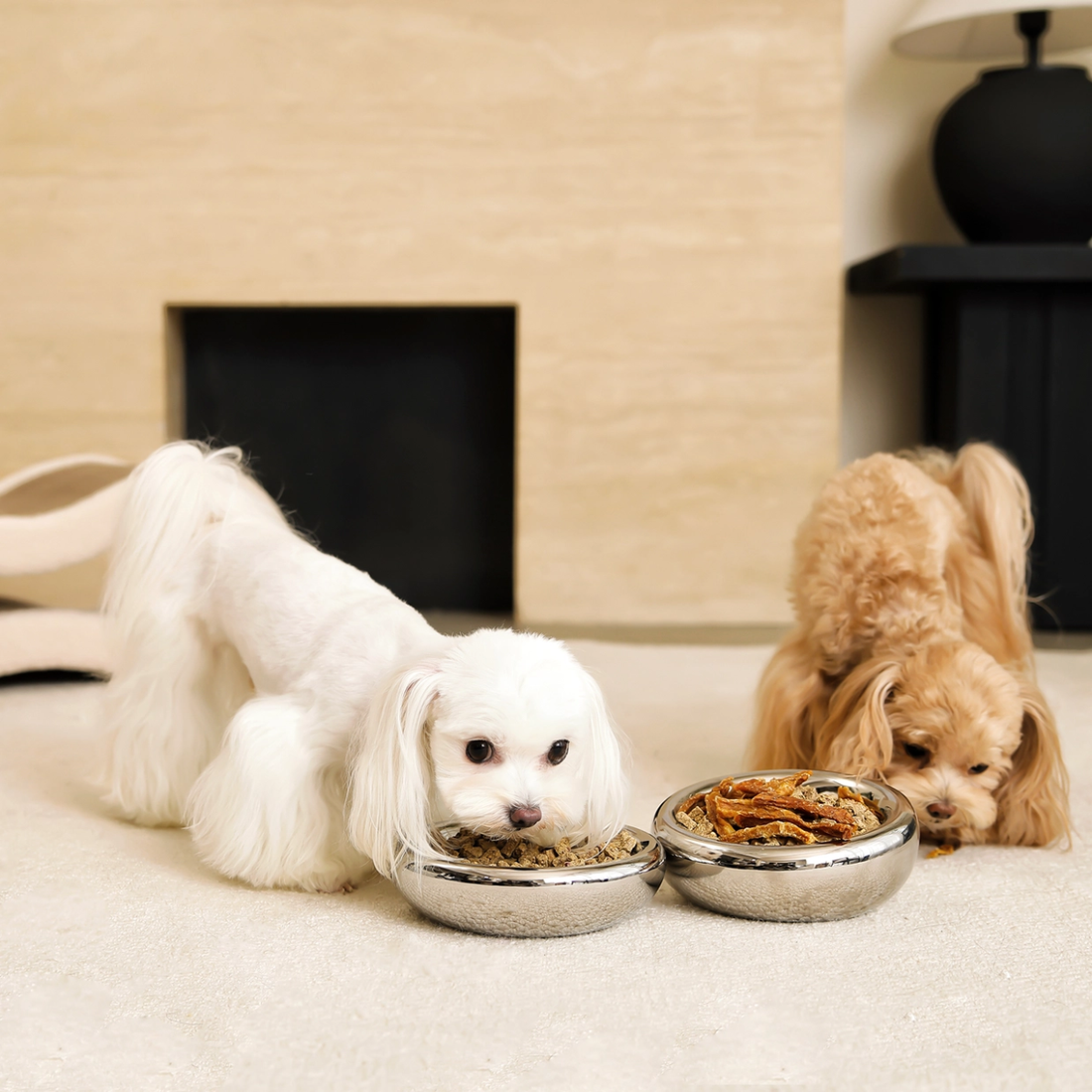 Pet Jojo Pebble Bowl, Flat // Flad hundeskål (krom)