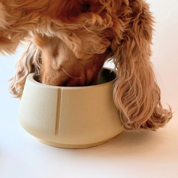Pino Bowl // Spill-free dog bowl for long ears (camel)