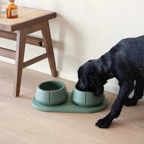 Pino Bowl // Spill-free dog bowl for long ears (green)