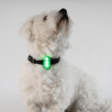 Reelight Switch Light // Genopladelig clip-on hundelygte (grøn)