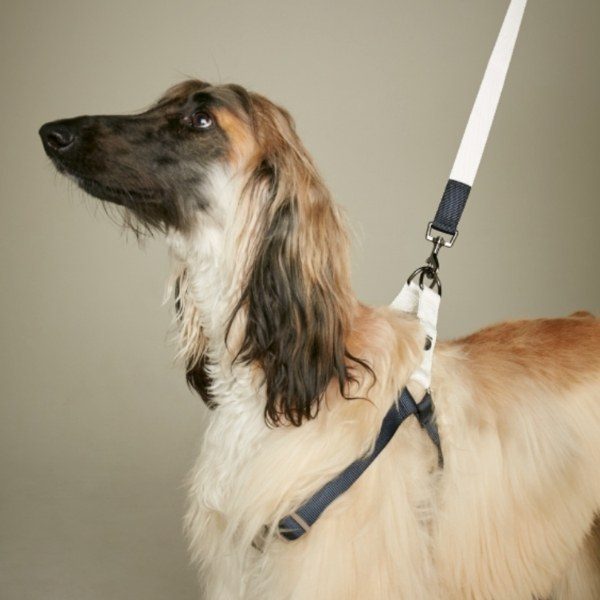 Sonia Navy // Adjustable step-in dog harness