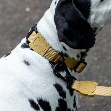 Zee.dog Sand // Lightweight collar with click buckle (dark beige)