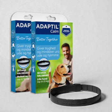 Adaptil calm on-the-go halsbånd // hjælper din hund til at føle tryghed ude og hjemme
