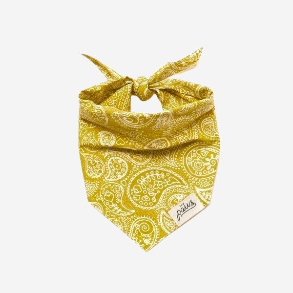 Paisley Fable // Paisley Dog Bandana (lime)