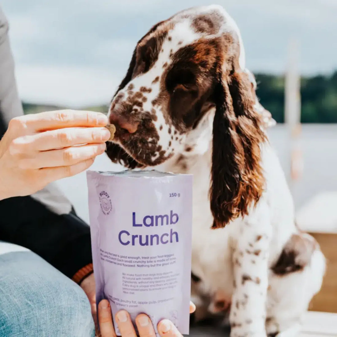 Buddy Lamb Crunch // Knasende godbidder med lam og tranebær