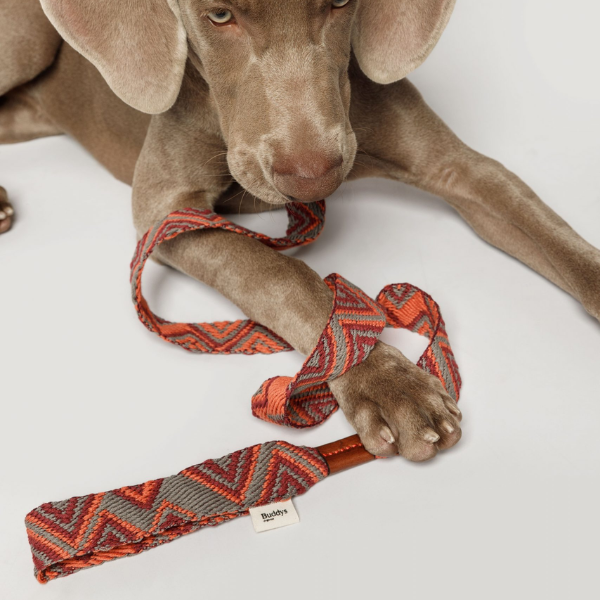 Buddys Dogwear Peruvian Pikes // Bred og let line (orange)
