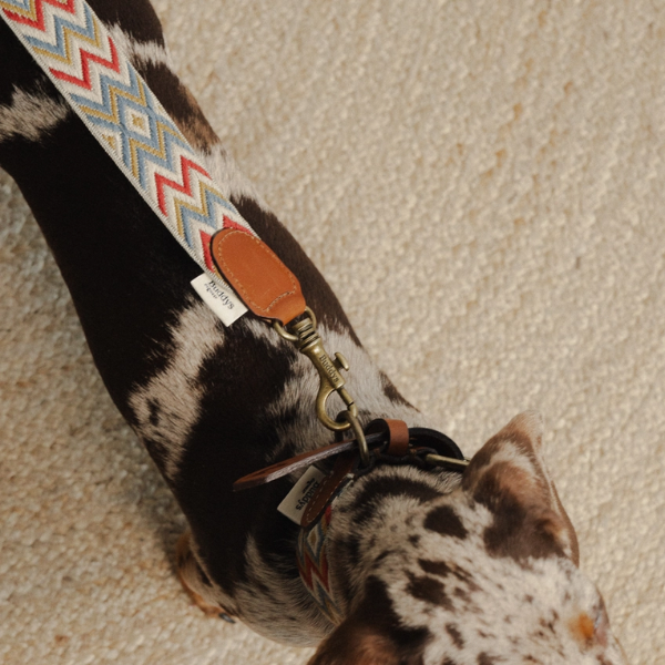 Buddys Dogwear Naya Zigzag // Bred og let line