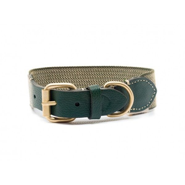 Buddys Dogwear // Dog Collar james green